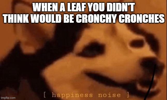 [happiness noise] | WHEN A LEAF YOU DIDN'T THINK WOULD BE CRONCHY CRONCHES | image tagged in happiness noise | made w/ Imgflip meme maker