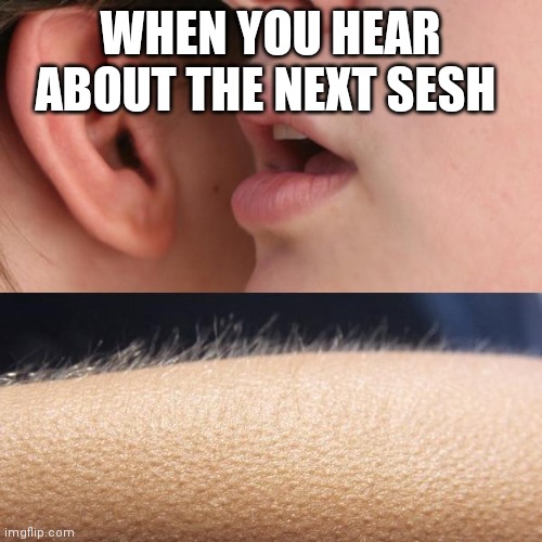 Whisper and Goosebumps | WHEN YOU HEAR ABOUT THE NEXT SESH | image tagged in whisper and goosebumps,memes | made w/ Imgflip meme maker