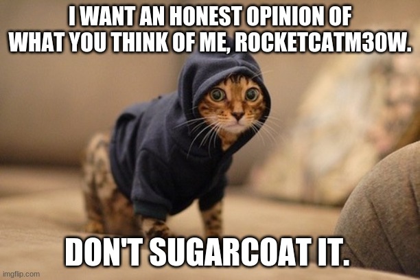 Thanks guys, I need ways to make my memes better! | I WANT AN HONEST OPINION OF WHAT YOU THINK OF ME, ROCKETCATM30W. DON'T SUGARCOAT IT. | image tagged in memes,hoody cat | made w/ Imgflip meme maker