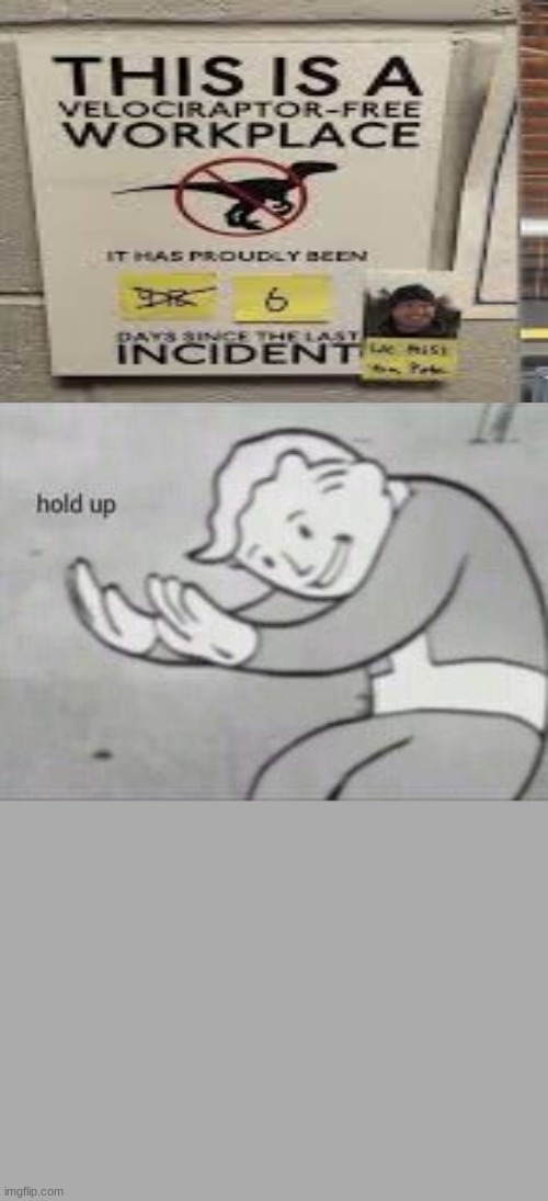 Fallout Hold Up | image tagged in fallout hold up | made w/ Imgflip meme maker