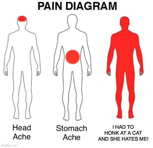 NUUUUUUUUUUUUUU | I HAD TO HONK AT A CAT AND SHE HATES ME! | image tagged in pain diagram,cats | made w/ Imgflip meme maker