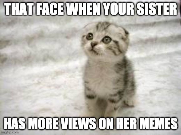 sad cat face | THAT FACE WHEN YOUR SISTER; HAS MORE VIEWS ON HER MEMES | image tagged in memes,sad cat,bad luck | made w/ Imgflip meme maker