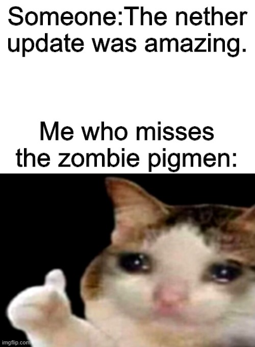 I've got a stupid reason why | Someone:The nether update was amazing. Me who misses the zombie pigmen: | image tagged in sad cat thumbs up white spacing | made w/ Imgflip meme maker