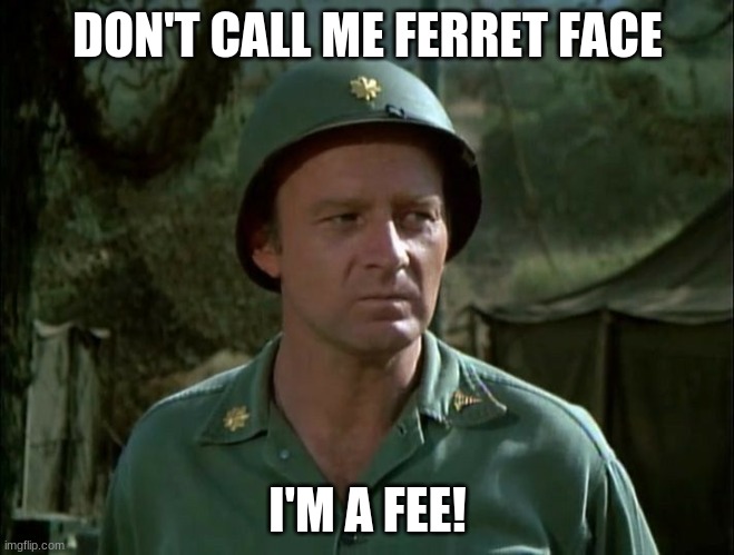 Fee! | DON'T CALL ME FERRET FACE; I'M A FEE! | image tagged in ferret | made w/ Imgflip meme maker