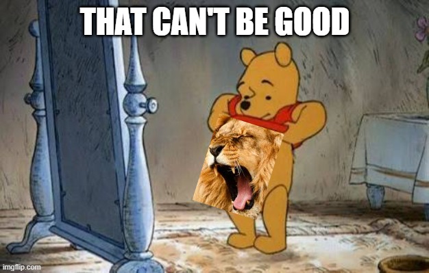 Pooh Mirror | THAT CAN'T BE GOOD | image tagged in pooh mirror | made w/ Imgflip meme maker