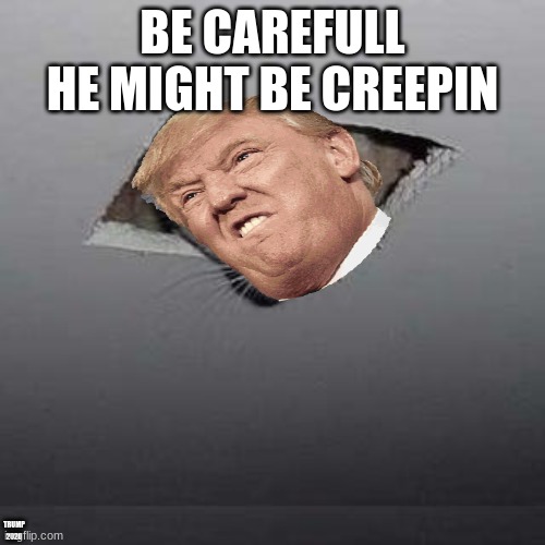 Ceiling Cat Meme | BE CAREFULL HE MIGHT BE CREEPIN; TRUMP 2020 | image tagged in memes,ceiling cat | made w/ Imgflip meme maker