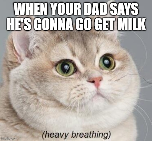 Heavy Breathing Cat Meme | WHEN YOUR DAD SAYS HE'S GONNA GO GET MILK | image tagged in memes,heavy breathing cat | made w/ Imgflip meme maker