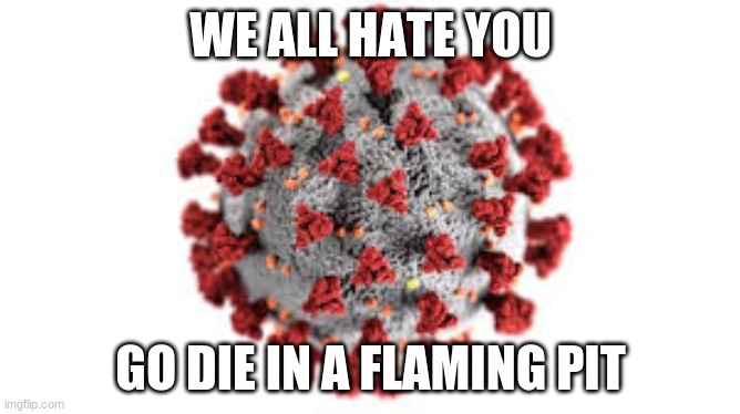 we all do | WE ALL HATE YOU; GO DIE IN A FLAMING PIT | image tagged in coronavirus | made w/ Imgflip meme maker
