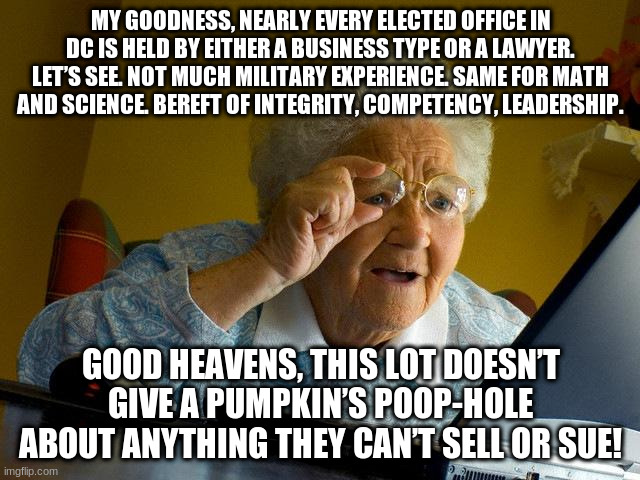 Grandma Finds The Internet Meme | MY GOODNESS, NEARLY EVERY ELECTED OFFICE IN DC IS HELD BY EITHER A BUSINESS TYPE OR A LAWYER. LET’S SEE. NOT MUCH MILITARY EXPERIENCE. SAME FOR MATH AND SCIENCE. BEREFT OF INTEGRITY, COMPETENCY, LEADERSHIP. GOOD HEAVENS, THIS LOT DOESN’T GIVE A PUMPKIN’S POOP-HOLE ABOUT ANYTHING THEY CAN’T SELL OR SUE! | image tagged in memes,grandma finds the internet | made w/ Imgflip meme maker