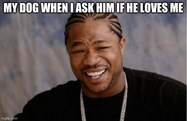 dog | MY DOG WHEN I ASK HIM IF HE LOVES ME | image tagged in memes,yo dawg heard you | made w/ Imgflip meme maker