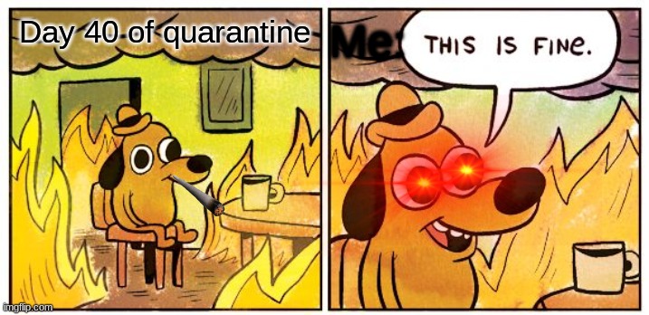 It's just fine | Me:; Day 40 of quarantine | image tagged in memes,this is fine | made w/ Imgflip meme maker