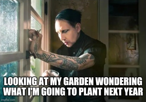 Marilyn Manson waiting | LOOKING AT MY GARDEN WONDERING WHAT I'M GOING TO PLANT NEXT YEAR | image tagged in marilyn manson waiting | made w/ Imgflip meme maker
