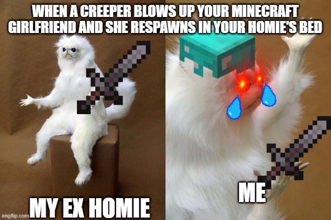 Persian Cat Room Guardian | WHEN A CREEPER BLOWS UP YOUR MINECRAFT GIRLFRIEND AND SHE RESPAWNS IN YOUR HOMIE'S BED; MY EX HOMIE; ME | image tagged in memes,persian cat room guardian | made w/ Imgflip meme maker