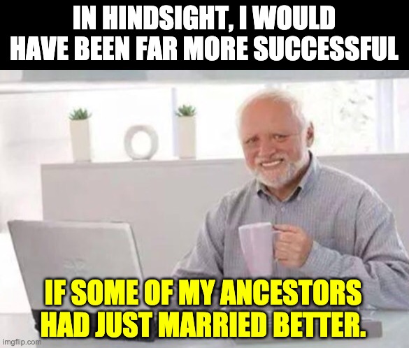 Harold | IN HINDSIGHT, I WOULD HAVE BEEN FAR MORE SUCCESSFUL; IF SOME OF MY ANCESTORS HAD JUST MARRIED BETTER. | image tagged in harold | made w/ Imgflip meme maker