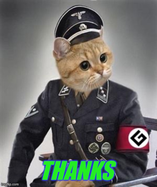 Grammar Nazi Cat | THANKS | image tagged in grammar nazi cat | made w/ Imgflip meme maker