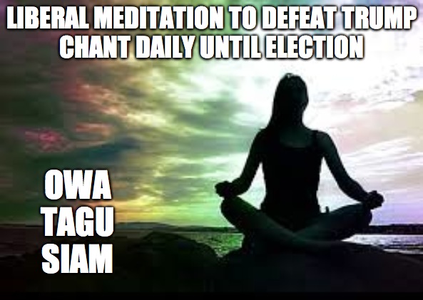 True change comes only from within | LIBERAL MEDITATION TO DEFEAT TRUMP
CHANT DAILY UNTIL ELECTION; OWA
TAGU
SIAM | image tagged in yoga | made w/ Imgflip meme maker