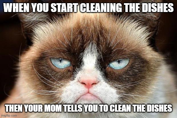 Grumpy Cat Not Amused | WHEN YOU START CLEANING THE DISHES; THEN YOUR MOM TELLS YOU TO CLEAN THE DISHES | image tagged in memes,grumpy cat not amused,grumpy cat | made w/ Imgflip meme maker