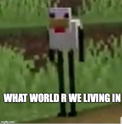 wHaT | WHAT WORLD R WE LIVING IN | image tagged in cursed minecraft chicken | made w/ Imgflip meme maker