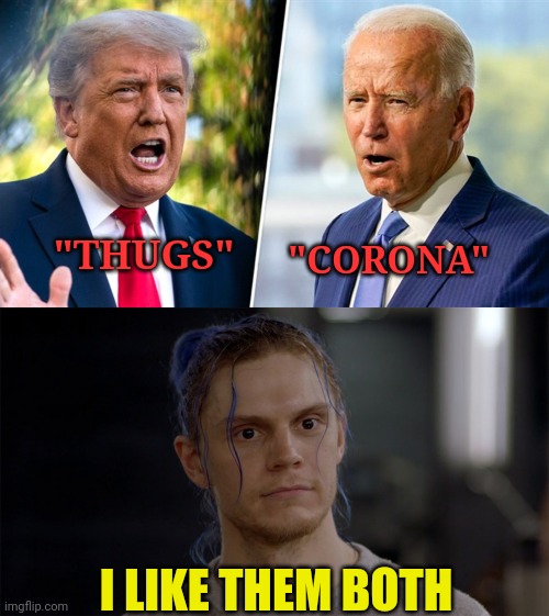 The politics of fear | "THUGS"; "CORONA"; I LIKE THEM BOTH | image tagged in ahs,american horror story,biden,trump,election 2020 | made w/ Imgflip meme maker