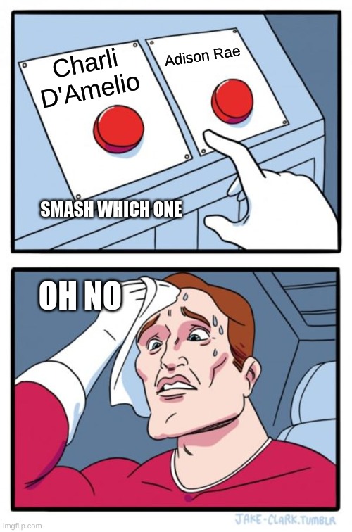 Two Buttons | Adison Rae; Charli D'Amelio; SMASH WHICH ONE; OH NO | image tagged in memes,two buttons | made w/ Imgflip meme maker