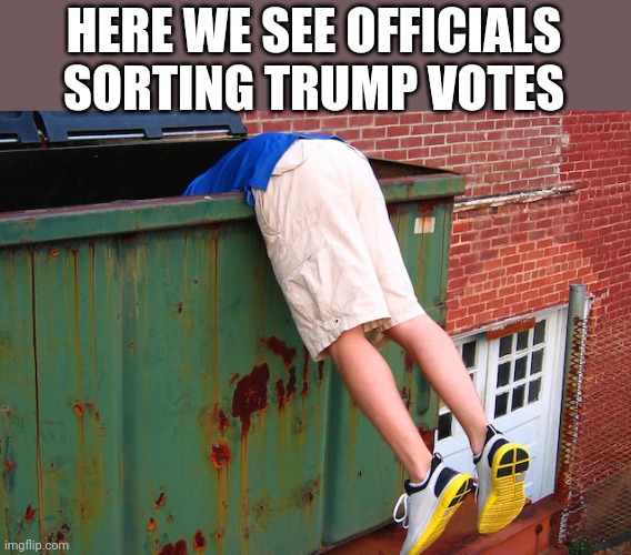 Politics and stuff | HERE WE SEE OFFICIALS SORTING TRUMP VOTES | image tagged in dumpster dive | made w/ Imgflip meme maker