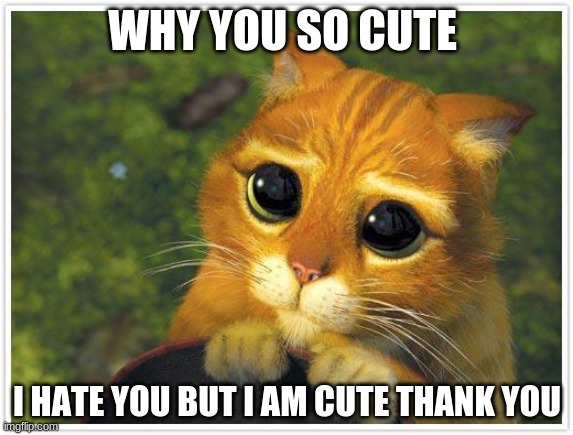 Shrek Cat | WHY YOU SO CUTE; I HATE YOU BUT I AM CUTE THANK YOU | image tagged in memes,shrek cat | made w/ Imgflip meme maker