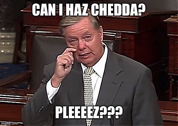 Crying Lady G | CAN I HAZ CHEDDA? PLEEEEZ??? | image tagged in crying lady g | made w/ Imgflip meme maker