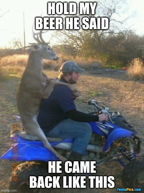 hold my beer | HOLD MY BEER HE SAID; HE CAME BACK LIKE THIS | image tagged in my deer friend | made w/ Imgflip meme maker