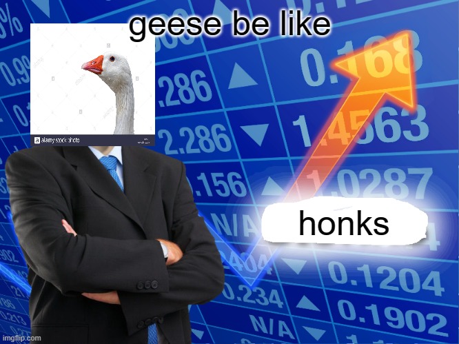 Why is it "geese" and not "gooses"? | geese be like; honks | image tagged in empty stonks | made w/ Imgflip meme maker