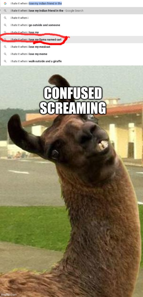 CONFUSED SCREAMING | image tagged in llama | made w/ Imgflip meme maker