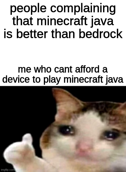 sad cat minecraft | people complaining that minecraft java is better than bedrock; me who cant afford a device to play minecraft java | image tagged in sad cat thumbs up white spacing | made w/ Imgflip meme maker