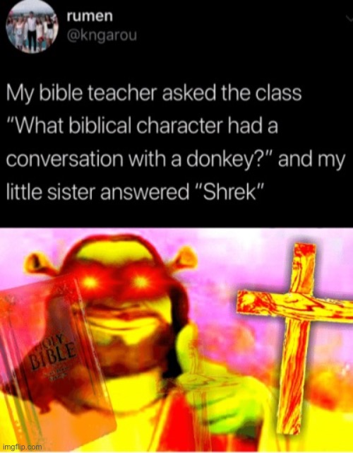 Shrek Bible | image tagged in bible,shrek | made w/ Imgflip meme maker