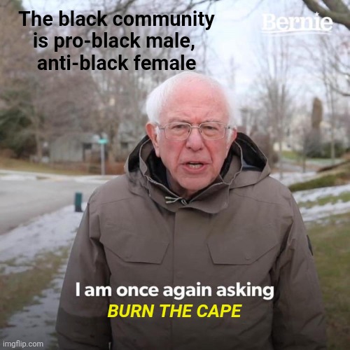 Bernie I Am Once Again Asking For Your Support Meme | The black community is pro-black male, 
anti-black female; BURN THE CAPE | image tagged in memes,bernie i am once again asking for your support,burn the cape,protest,blm,politics | made w/ Imgflip meme maker