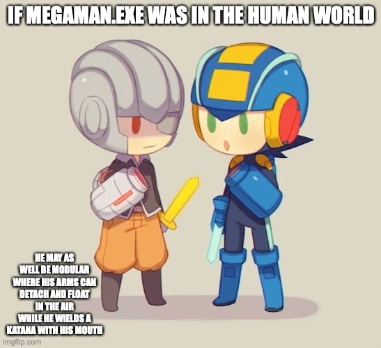 Battle Network Ripoff? | IF MEGAMAN.EXE WAS IN THE HUMAN WORLD; HE MAY AS WELL BE MODULAR WHERE HIS ARMS CAN DETACH AND FLOAT IN THE AIR WHILE HE WIELDS A KATANA WITH HIS MOUTH | image tagged in megaman battle network,memes,megaman | made w/ Imgflip meme maker
