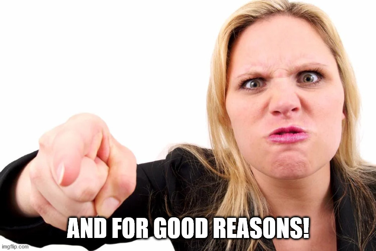 Offended woman | AND FOR GOOD REASONS! | image tagged in offended woman | made w/ Imgflip meme maker