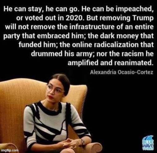 [I made the same point the other day — you can vote out Trump but not Trump supporters — but of course AOC said it better] | image tagged in repost,aoc,election 2020,trump supporters,alexandria ocasio-cortez,reposts | made w/ Imgflip meme maker