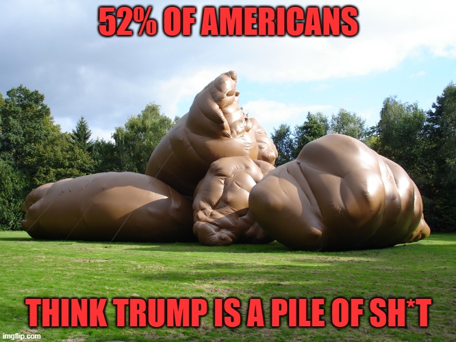 Trump Dump | 52% OF AMERICANS; THINK TRUMP IS A PILE OF SH*T | image tagged in donald trump you're fired,dump trump,election 2020,polls,poo,deplorable donald | made w/ Imgflip meme maker