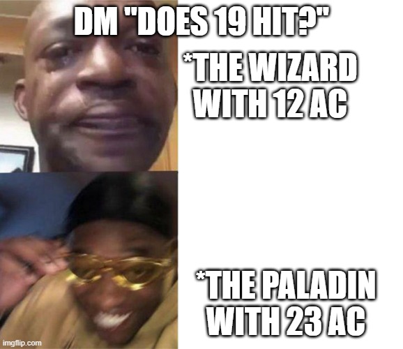 Crying Guy/Guy with sunglasses | DM "DOES 19 HIT?"; *THE WIZARD WITH 12 AC; *THE PALADIN WITH 23 AC | image tagged in crying guy/guy with sunglasses | made w/ Imgflip meme maker