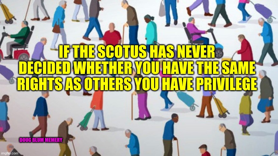 privilege in the USA | IF THE SCOTUS HAS NEVER DECIDED WHETHER YOU HAVE THE SAME RIGHTS AS OTHERS YOU HAVE PRIVILEGE; DOUG BLUM MEMERY | image tagged in white privilege,scotus,equality | made w/ Imgflip meme maker