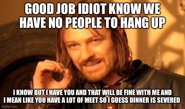 Person meet | GOOD JOB IDIOT KNOW WE HAVE NO PEOPLE TO HANG UP; I KNOW BUT I HAVE YOU AND THAT WILL BE FINE WITH ME AND I MEAN LIKE YOU HAVE A LOT OF MEET SO I GUESS DINNER IS SEVERED | image tagged in memes,one does not simply | made w/ Imgflip meme maker