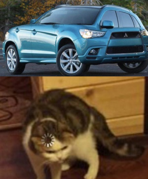 Confused cat Blank Meme Template