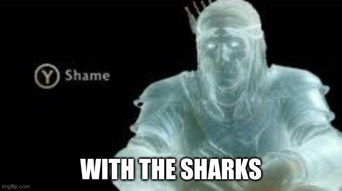 Y (Shame) | WITH THE SHARKS | image tagged in y shame | made w/ Imgflip meme maker