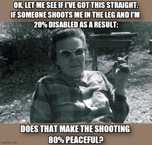 Mean Old Lady | image tagged in shooting,disabled,percentage | made w/ Imgflip meme maker