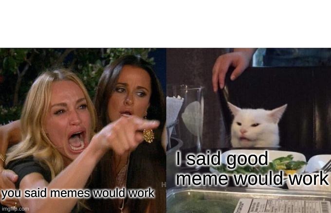 haha | I said good meme would work; you said memes would work | image tagged in memes,woman yelling at cat | made w/ Imgflip meme maker