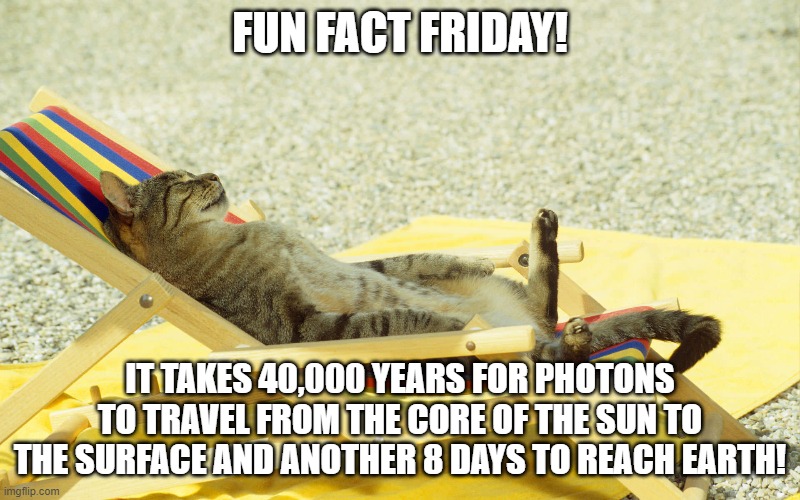 Fun Fact Friday | FUN FACT FRIDAY! IT TAKES 40,000 YEARS FOR PHOTONS TO TRAVEL FROM THE CORE OF THE SUN TO THE SURFACE AND ANOTHER 8 DAYS TO REACH EARTH! | image tagged in cat sunbathing | made w/ Imgflip meme maker