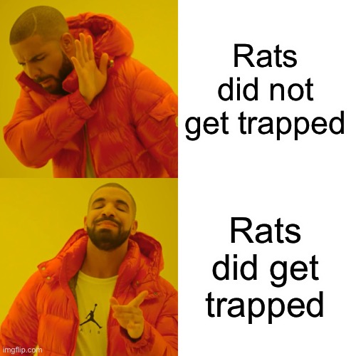 Drake Hotline Bling | Rats did not get trapped; Rats did get trapped | image tagged in memes,drake hotline bling,mouse,rat,mouse trap | made w/ Imgflip meme maker