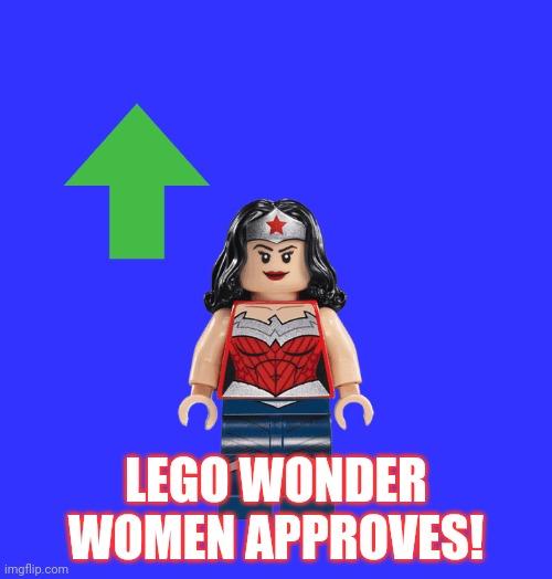 LEGO WONDER WOMEN APPROVES! | made w/ Imgflip meme maker