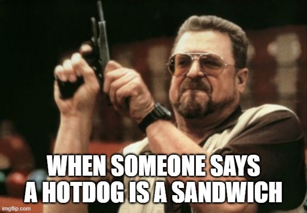 Am I The Only One Around Here | WHEN SOMEONE SAYS A HOTDOG IS A SANDWICH | image tagged in memes,am i the only one around here | made w/ Imgflip meme maker