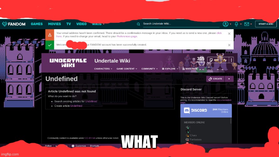Did it create the account or not? | WHAT | image tagged in software,fandom | made w/ Imgflip meme maker