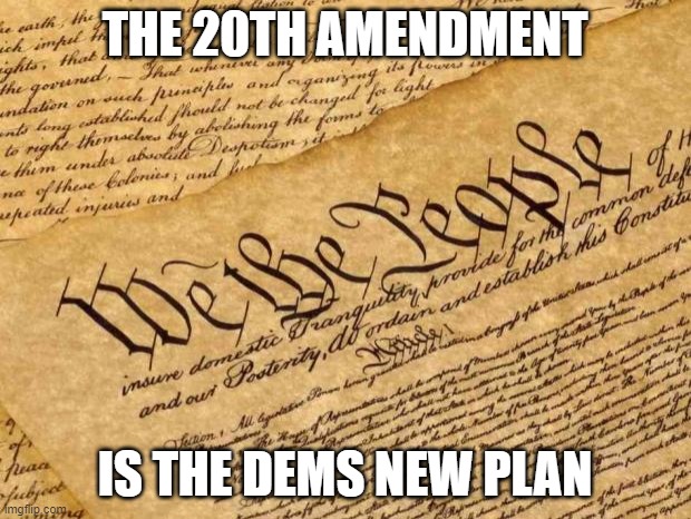 Dems new plan | THE 20TH AMENDMENT; IS THE DEMS NEW PLAN | image tagged in constitution,20th amendment | made w/ Imgflip meme maker